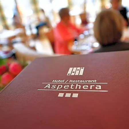Aspethera מלון